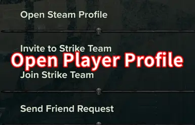Open Player Profile