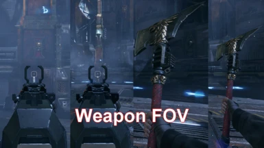 Weapon FOV