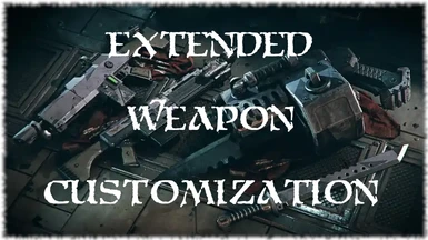Extended Weapon Customization