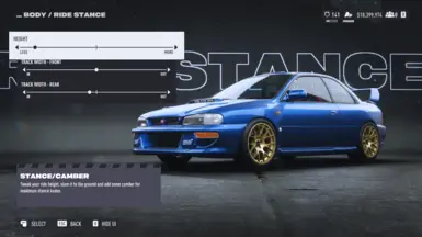 Basic Stance
