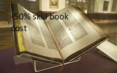Halves the cost of books to assign a all skill perk