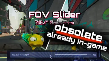 FOV Slider mod