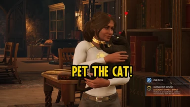 Pet the Cat