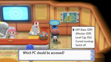 How does the EXP Share work in Pokemon Brilliant Diamond and Shining Pearl?