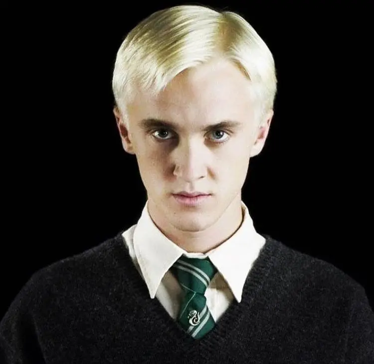 Draco Malfoy Face at Hogwarts Legacy Nexus - Mods and community