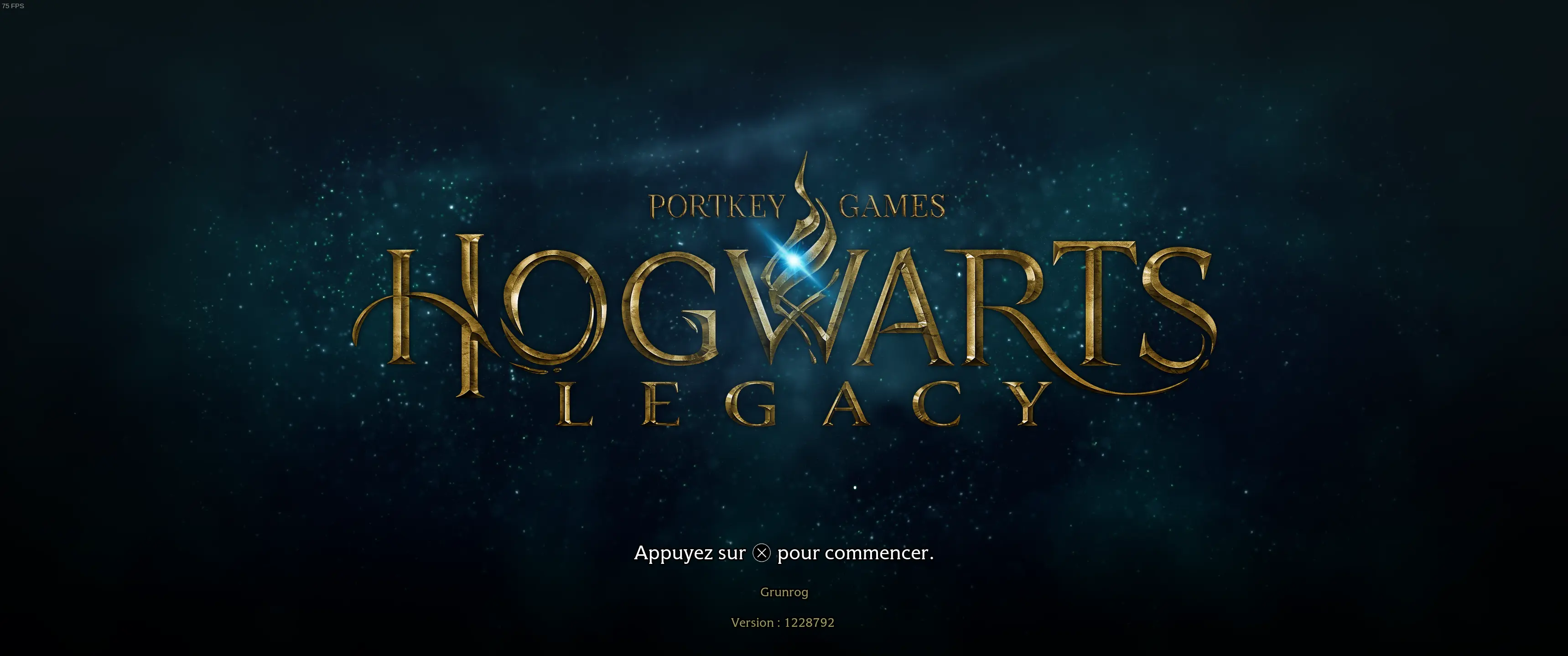 French UI and Subtitles for Hogwarts Legacy (Summer Update) at Hogwarts ...