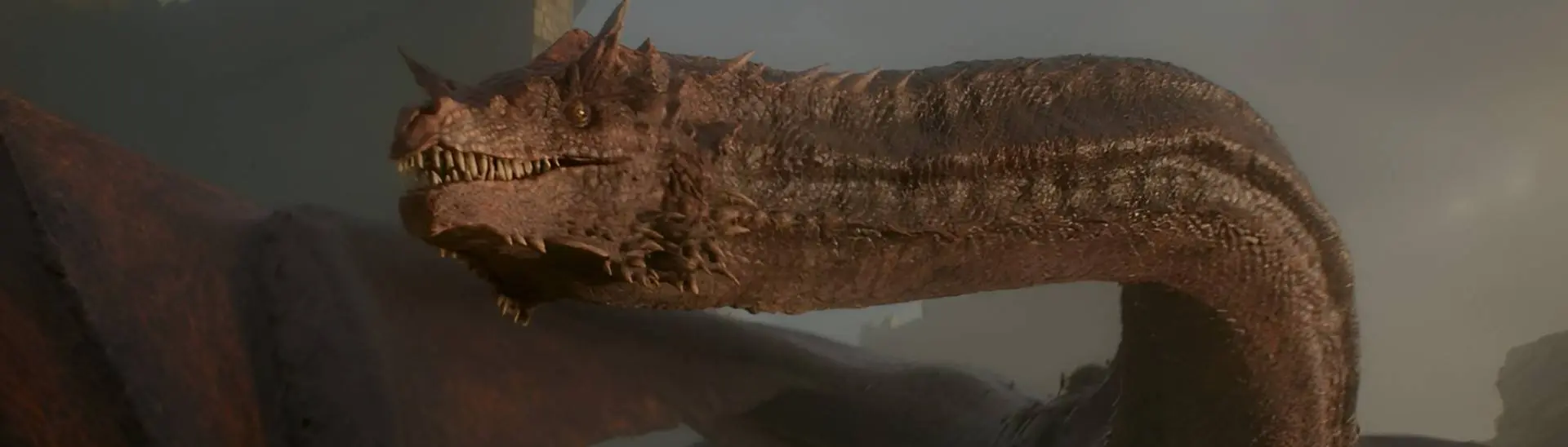 Harry Potter Fans Think 'Hogwarts Legacy' Should Have Dragon Mounts