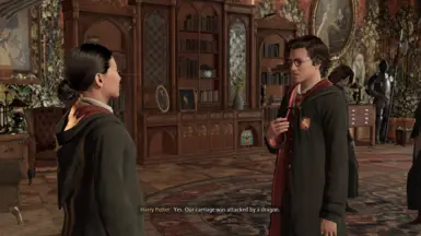 Accurate Dialogue Choices - Multilanguage support at Hogwarts Legacy ...