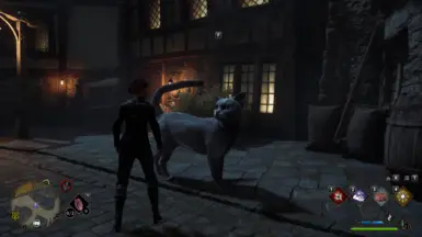 Bigger Cats