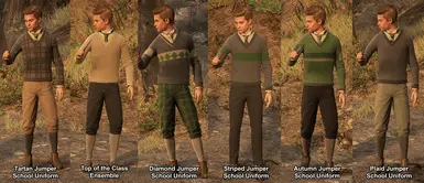 School Jumpers (includes breeches/pants options)