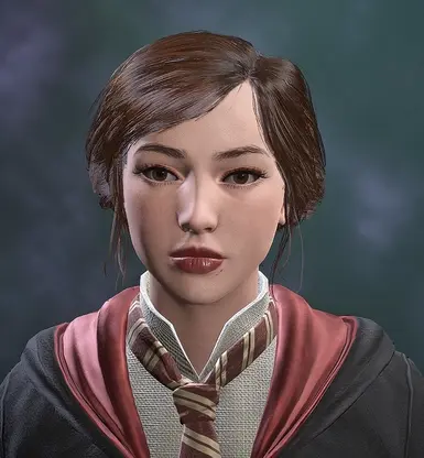 Gryffindor in Menu
