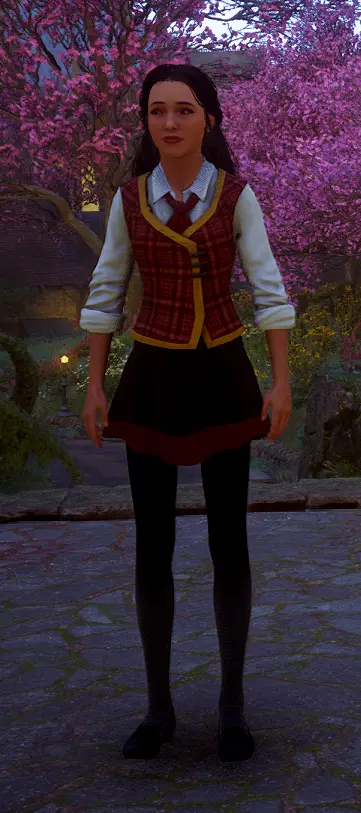 Example when used with my Colorful House Uniforms mod