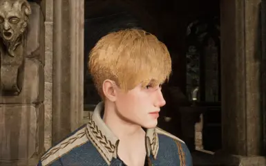 New Hair for Male 30 - Bjorn