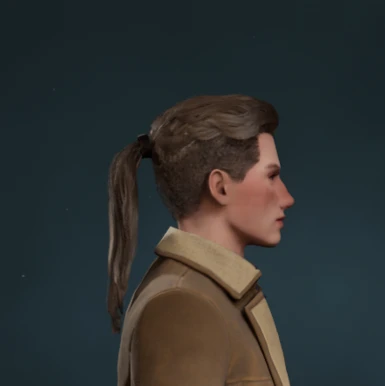 New Hair for Male 28 - Magnus (Physics)