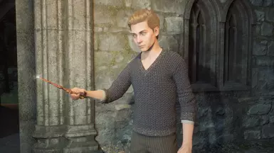 Ominis with Everett's wand - Ominis is affected as well in all instances