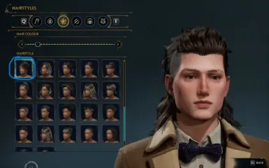Gladiolus
