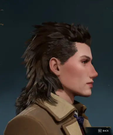 Gladiolus