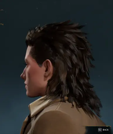 Gladiolus