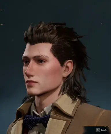 Some FFXV Male Hairs at Hogwarts Legacy Nexus - Mods and community