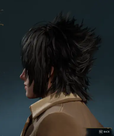 Noctis