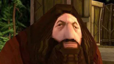 PS1 Hagrid Loading Screen (All 26 Screens xD )