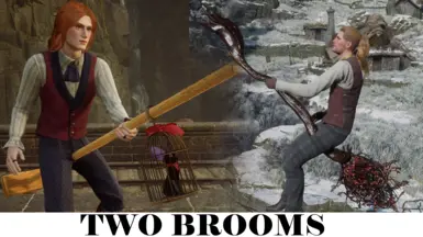 Two Brooms