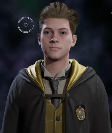 Modern Hogwarts Crests