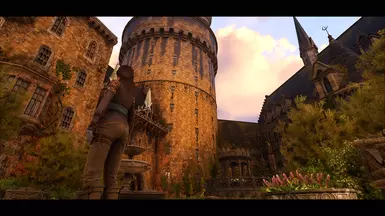 A Nice Castle View