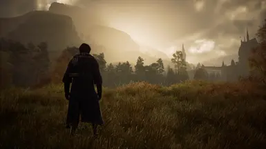 Reshade off