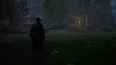 Reshade off