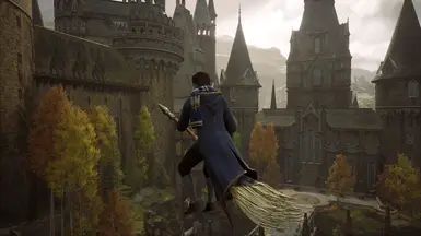 Reshade on