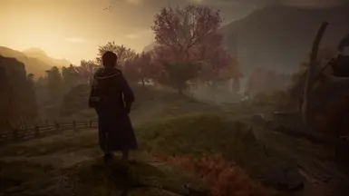 Reshade off