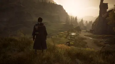 1.01 Reshade on