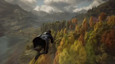 1.01 Reshade off