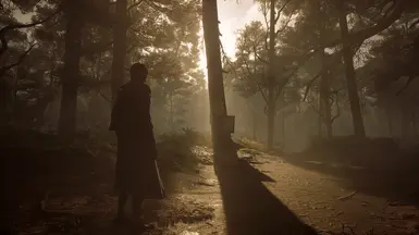 1.01 Reshade on