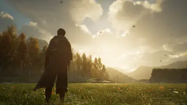 1.02 Reshade off