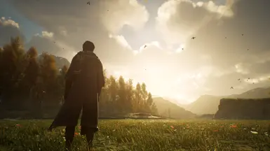 1.02 Reshade on