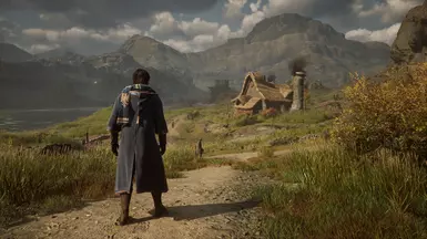 1.02 Reshade on