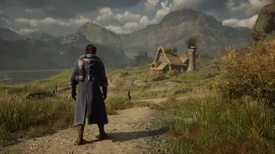 1.02 Reshade off