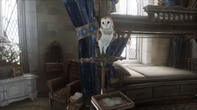 1.02 Reshade on