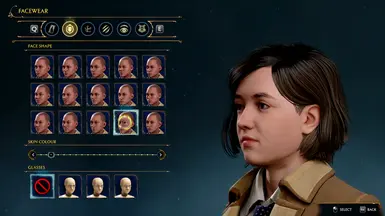 Replaces Female Face Shape 14.