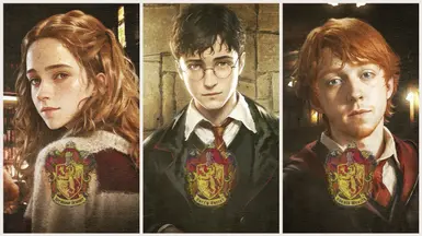 Stylized HP portrait replacer