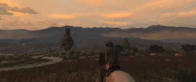 RESHADE OFF 