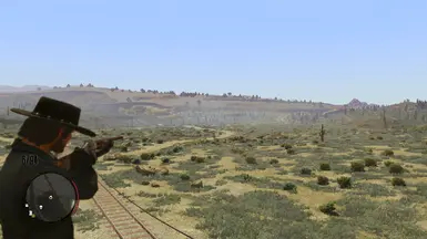 shotgun on the foot
