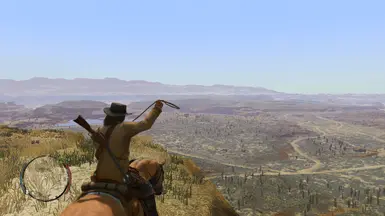 lasso on the horse