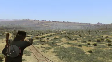 pistols on the foot