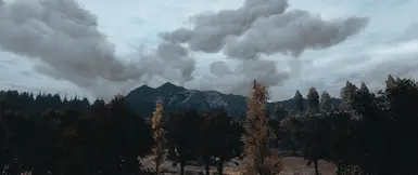 Without HUD