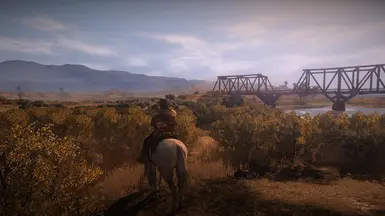 Reshade On