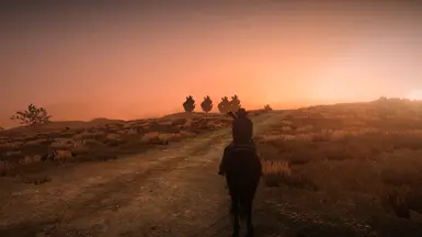 Old West Vibe