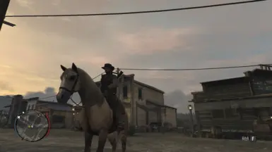 Wild Stallion